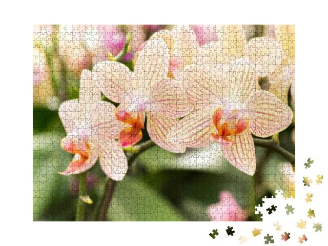 Puzzle 1000 Teile „Gestreifte Orchideenblüten in ihrer vollen Pracht“