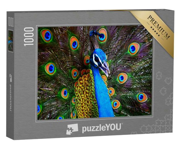 Puzzle 1000 Teile „Porträt eines bunten tanzenden Pfaus“