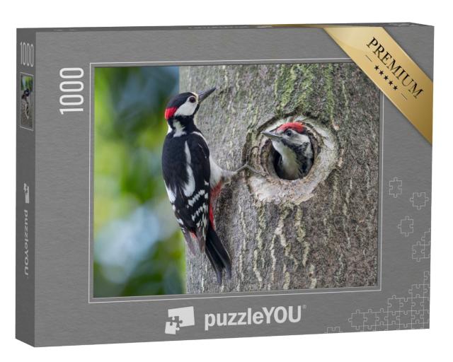 Puzzle 1000 Teile „Buntspecht-Nest mit Vater und Sohn“