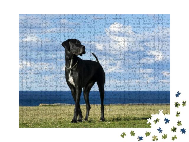 Puzzle 1000 Teile „Deutsche Dogge am Meer“