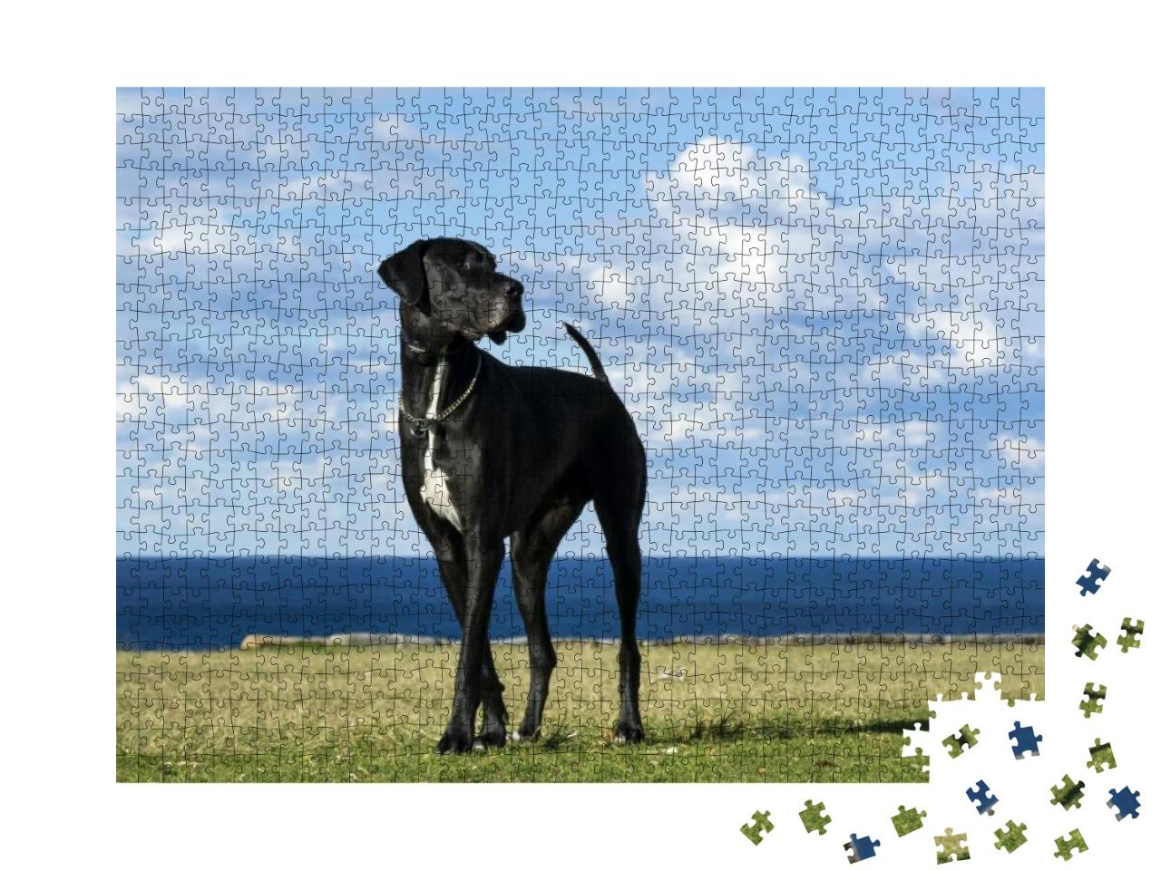 Puzzle 1000 Teile „Deutsche Dogge am Meer“