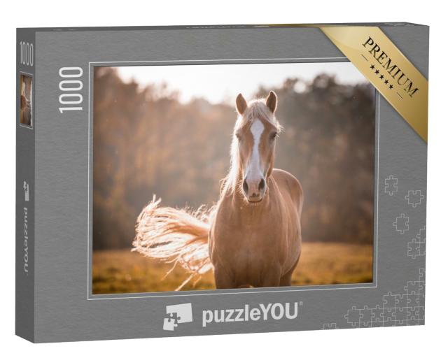 Puzzle 1000 Teile „Haflinger-Pferd mit weißer Blesse“