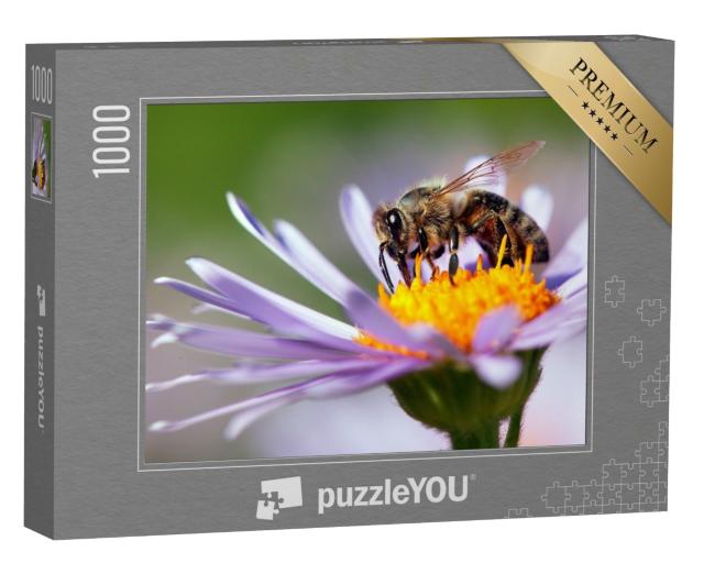 Puzzle 1000 Teile „Eine Honigbiene auf einer Blüte“