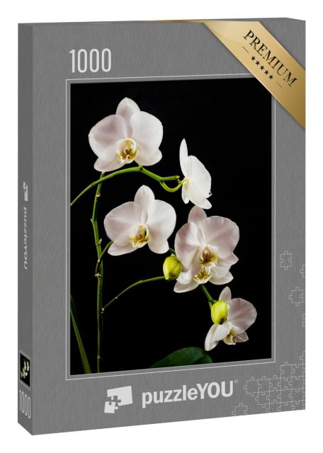 Puzzle 1000 Teile „Weißer Orchideenzweig voller Blüten“