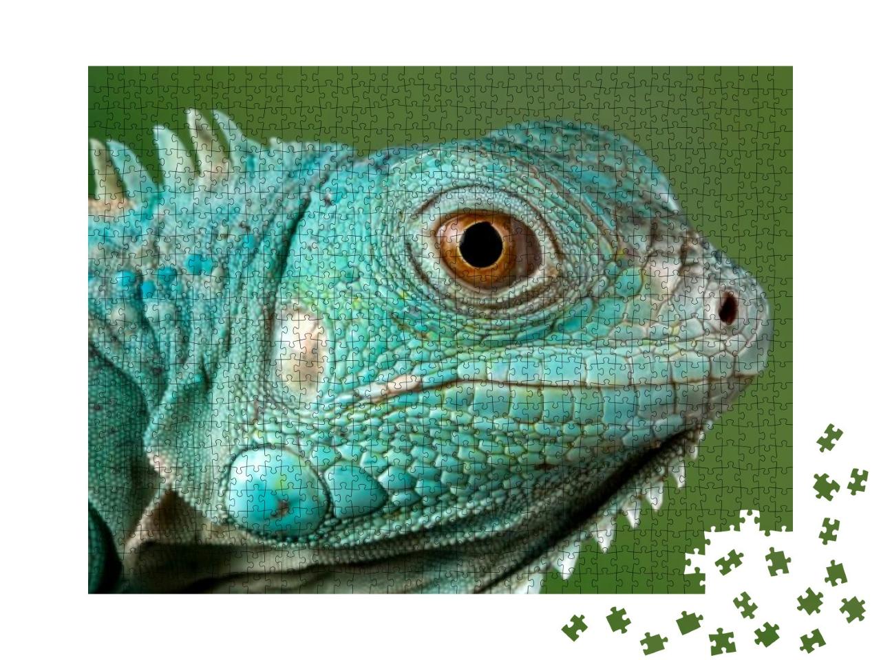Puzzle 1000 Teile „Blauer Leguan “