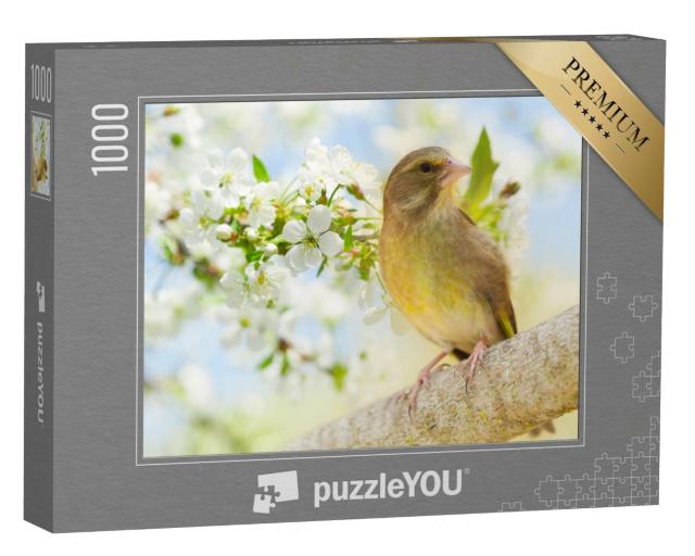 Puzzle 1000 Teile „Grünfink im blühenden Obstbaum“