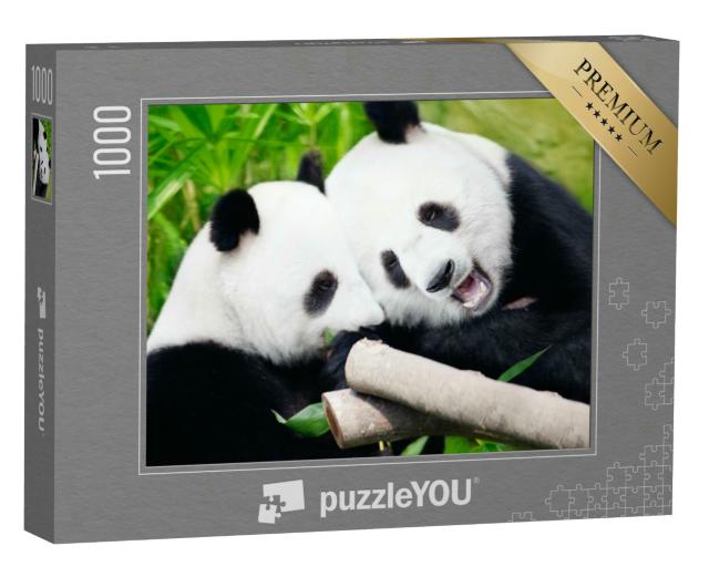Puzzle 1000 Teile „Riesenpandas beim Verzehr von Bambussprossen“