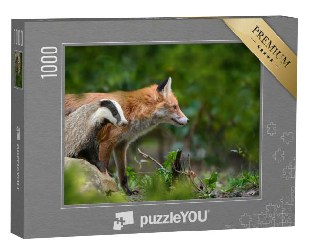 Puzzle 1000 Teile „Rotfuchs, Vulpes vulpes, und Dachs “