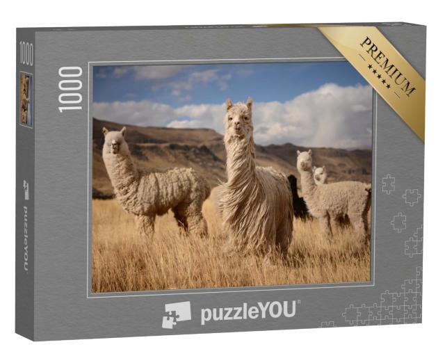 Puzzle 1000 Teile „Alpakas in den peruanischen Anden“