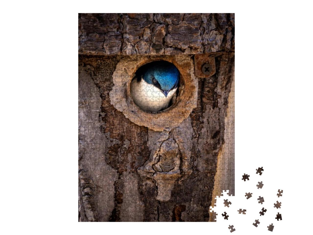 Puzzle 1000 Teile „Eine Rauchschwalbe wagt sich aus ihrem Nest im Baumstamm“
