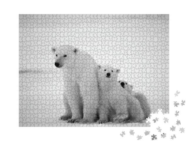 Puzzle 1000 Teile „Eisbärin mit Jungtieren“