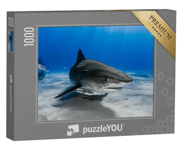 Puzzle 1000 Teile „Tigerhai schwimmt über das Riff“