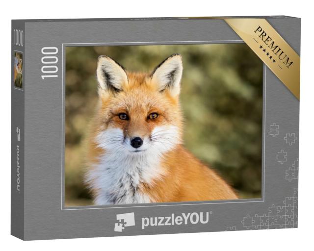Puzzle 1000 Teile „Vulpes vulpes: Rotfuchs bei Schnee, Bokeh“