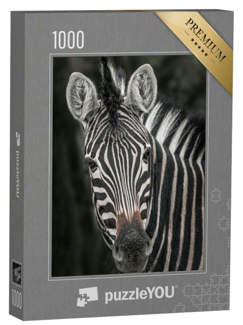 Puzzle 1000 Teile „Nahaufnahme eines Zebras“
