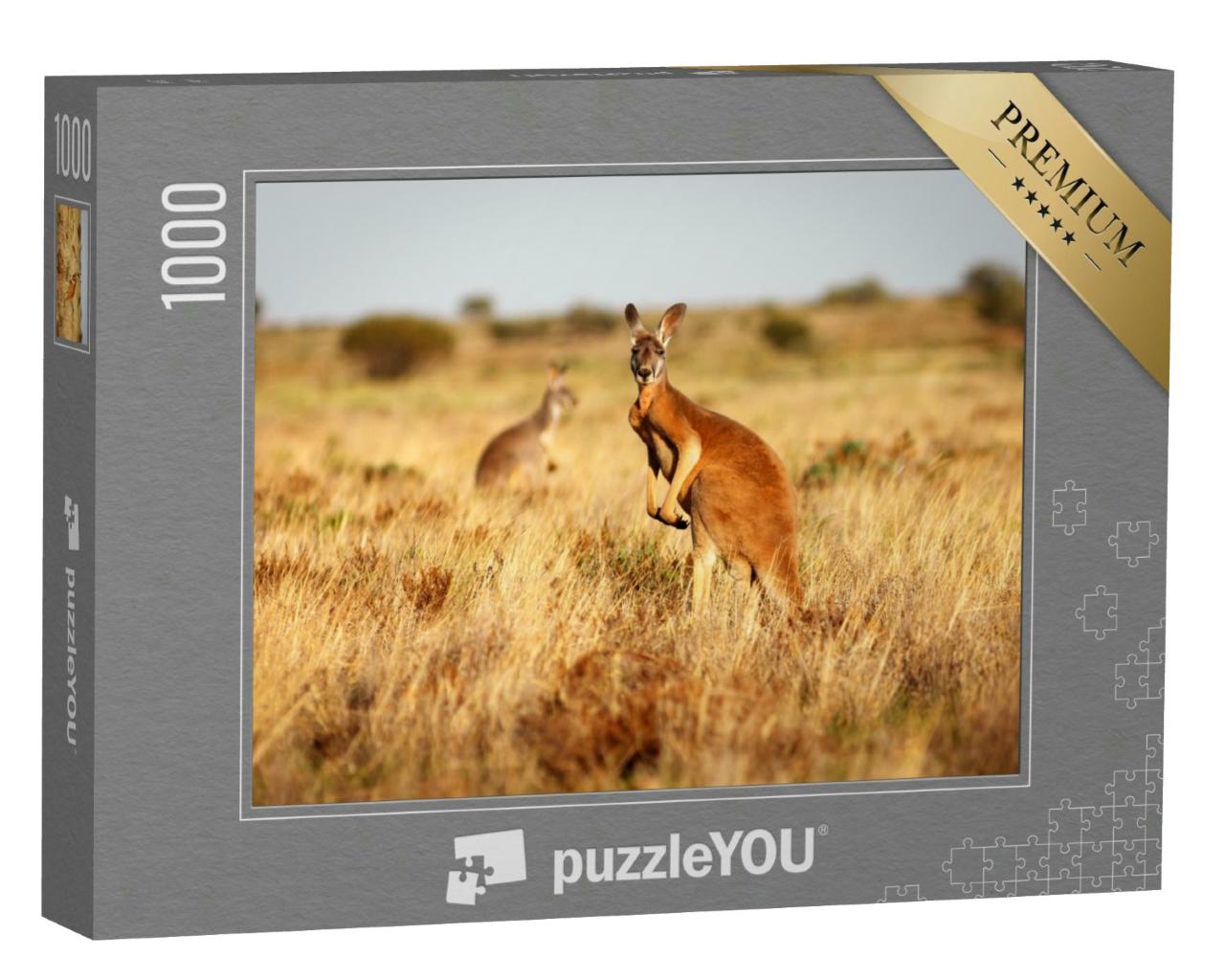 Puzzle 1000 Teile „Rotes Känguru im Grasland des australischen Outbacks“