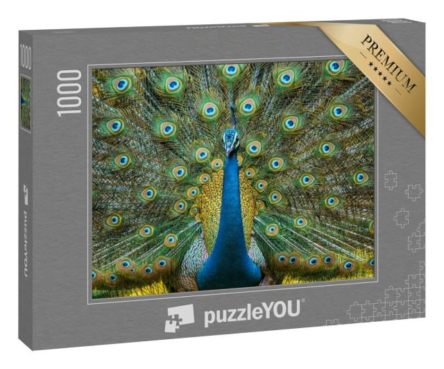 Puzzle 1000 Teile „Peacock, Nationalvogel von Indien“