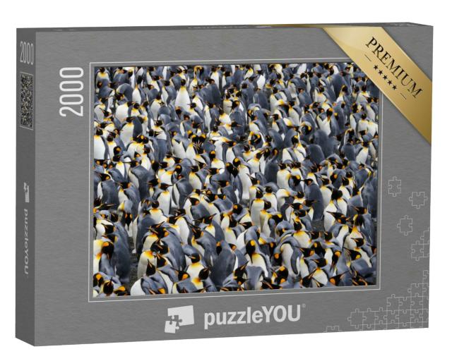 Puzzle 2000 Teile „Königspinguin-Kolonie“