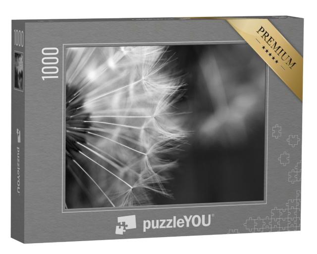 Puzzle 1000 Teile „Makrofotografie einer Pusteblume “