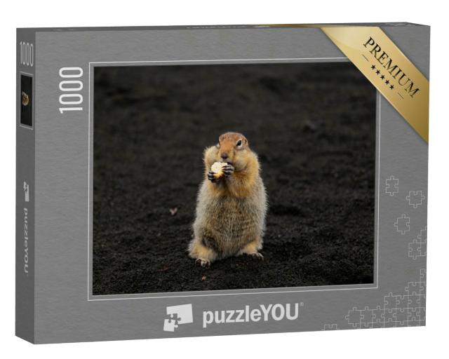 Puzzle 1000 Teile „Ein Erdhörnchen im vulkanischem Sand“