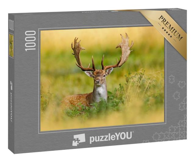 Puzzle 1000 Teile „Majestätischer Damhirsch im Herbstwald, Dyrehave, Dänemark“