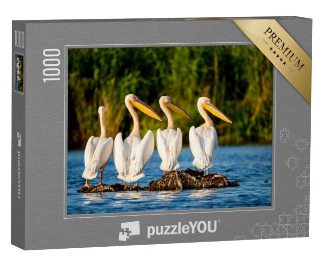 Puzzle 1000 Teile „Pelikankolonie am Donaudelta, Rumänien“