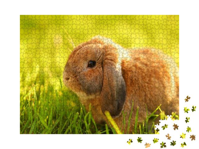 Puzzle 1000 Teile „Kleines Kaninchen mit Hängeohren sitzt auf dem Rasen“