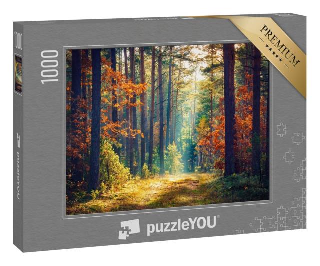 Puzzle 1000 Teile „Sonniger Herbstwald“