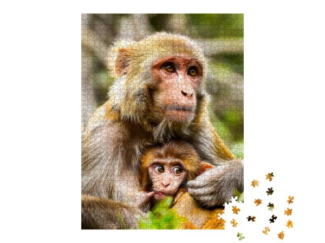 Puzzle 1000 Teile „Eine Affenmutter mit Baby “