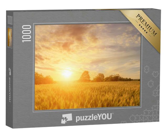 Puzzle 1000 Teile „Warm leuchtender Sonnenuntergang über einem Feld“