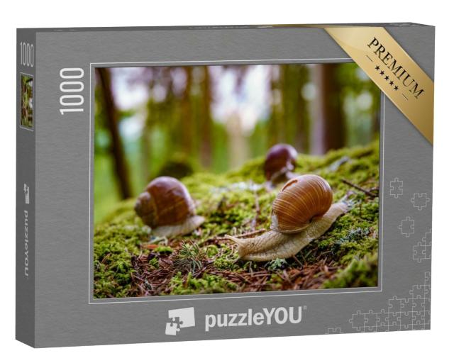 Puzzle 1000 Teile „Weinbergschnecken in der Natur“