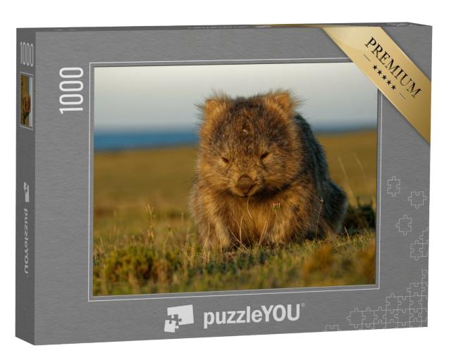 Puzzle 1000 Teile „Ein Wombat im tasmanischen Abendlicht, Australien“