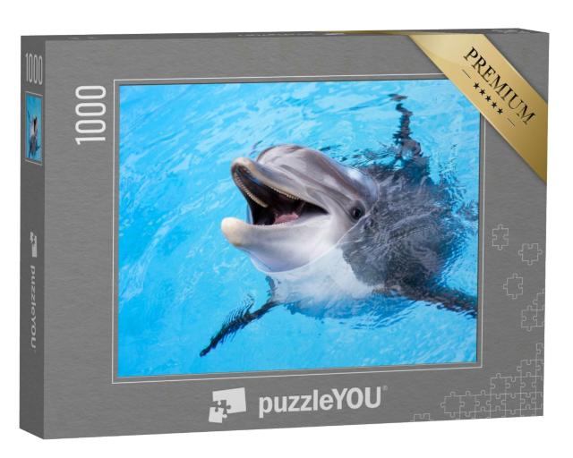 Puzzle 1000 Teile „Delphin“