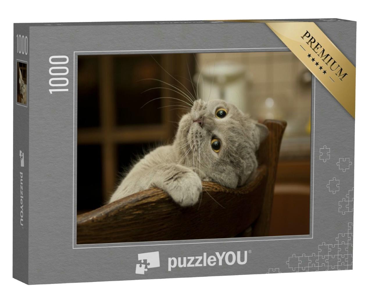 Puzzle 1000 Teile „Kleine verspielte Katze“