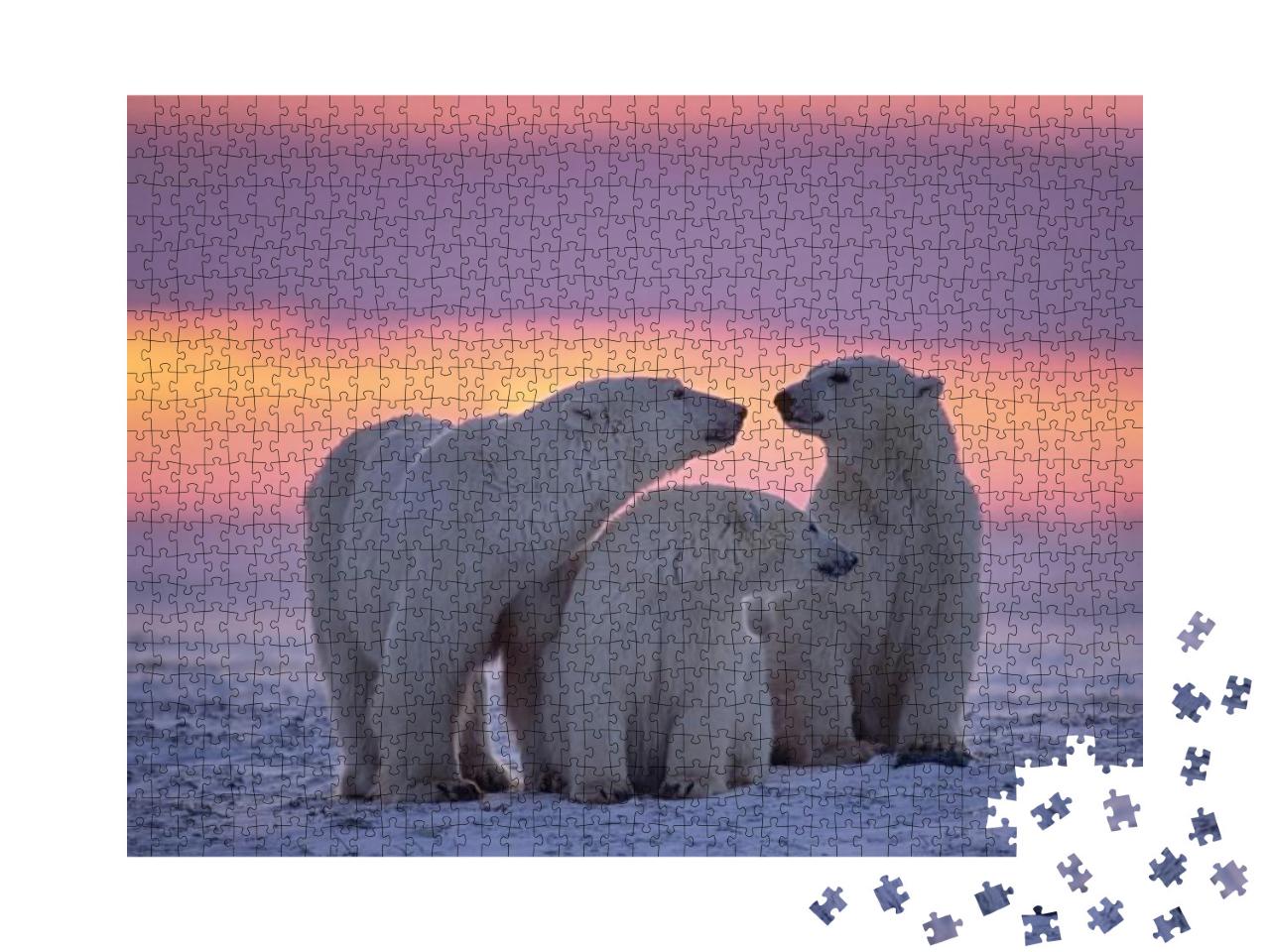 Puzzle 1000 Teile „Eisbärenfamilie im Sonnenuntergang in der kanadischen Arktis“