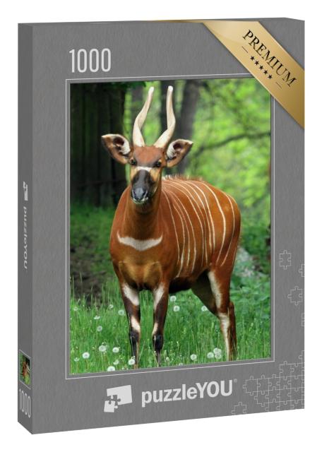 Puzzle 1000 Teile „Ein Bergbongo Weibchen“