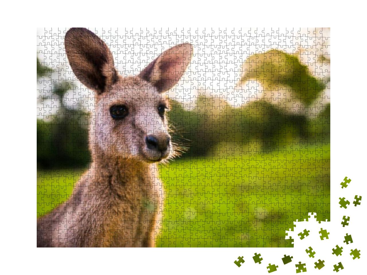 Puzzle 1000 Teile „Junges Känguru an der Ostküste Australiens“