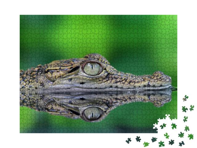Puzzle 1000 Teile „Krokodil mit Spiegelung“