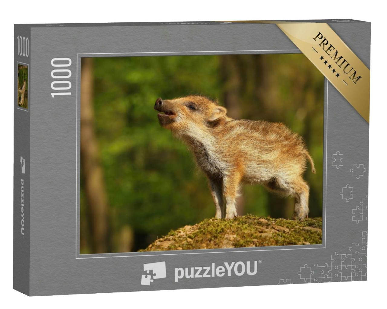 Puzzle 1000 Teile „Gestreiftes Wildschweinbaby im Wald “