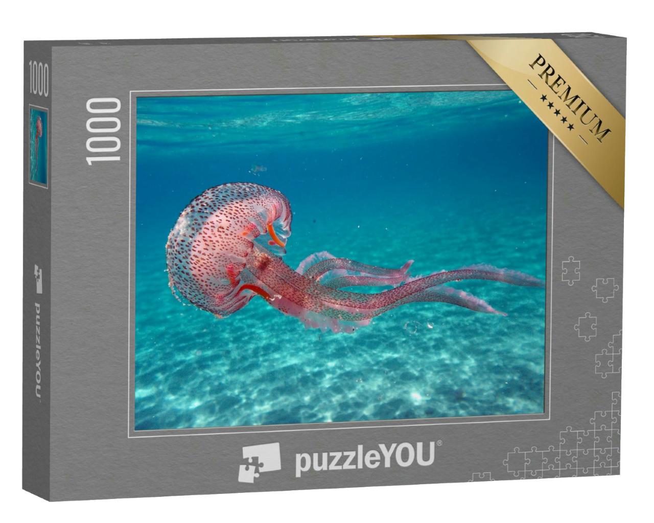 Puzzle 1000 Teile „Pelagia noctiluca Qualle im Meer vor der Insel Elba“