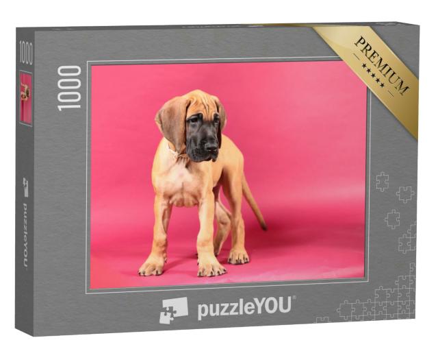 Puzzle 1000 Teile „Rehbraune Deutsche Dogge “
