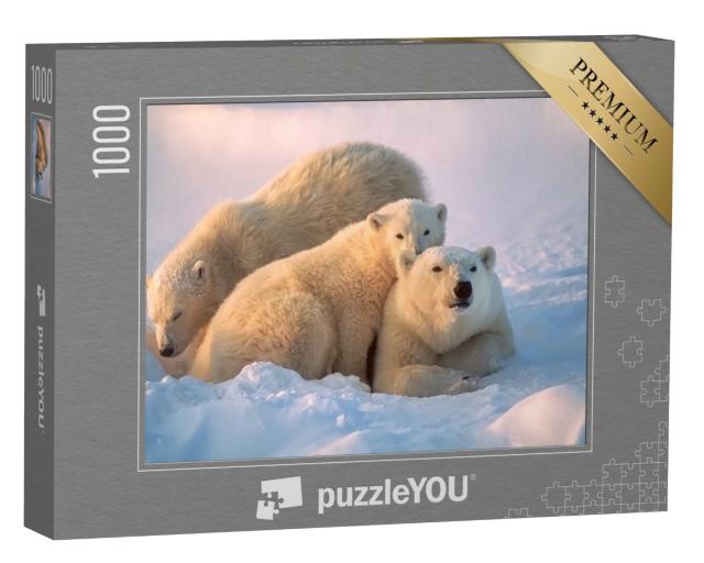 Puzzle 1000 Teile „Eisbärin mit ihren Jungen “