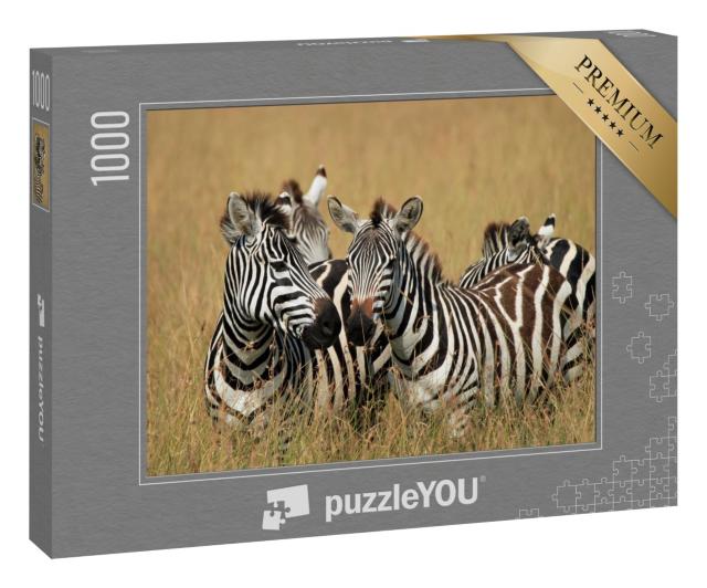 Puzzle 1000 Teile „Steppenzebras in der Savanne, Maasai Mara, Kenia“
