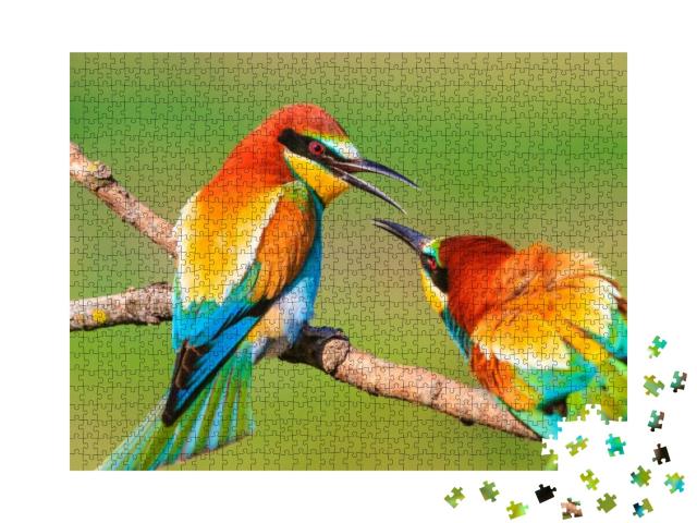 Puzzle 1000 Teile „Zwei wunderschön bunte Vögel auf einem Ast“