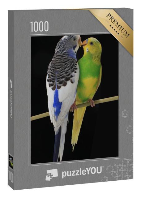 Puzzle 1000 Teile „Ein australisches Wellensittichpaar auf einem Ast “