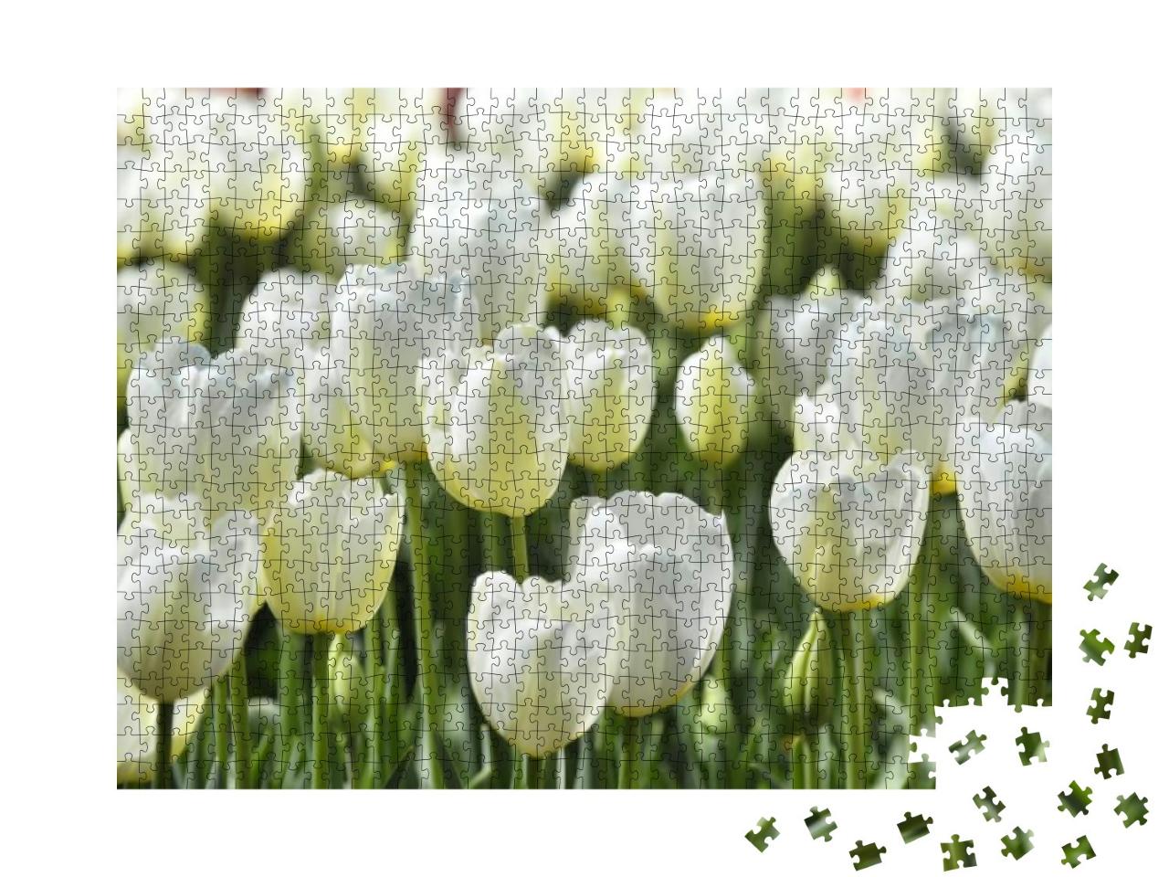 Puzzle 1000 Teile „Feld mit Blumen in Istanbul“