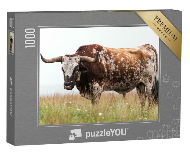 Puzzle 1000 Teile „Texas-Langhorn-Bulle im Wichita Mountains National Wildlife Refuge, Oklahoma“