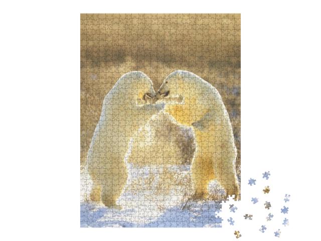 Puzzle 1000 Teile „Eisbären aus Kanada “