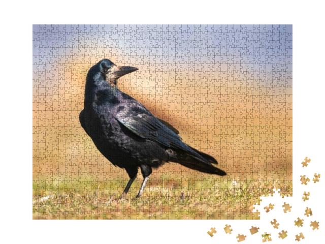 Puzzle 1000 Teile „Schwarz glänzendes Gefieder einer Saatkrähe“