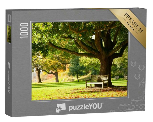 Puzzle 1000 Teile „Bank unter einem uralten Baum in den Royal Botanic Gardens, London“