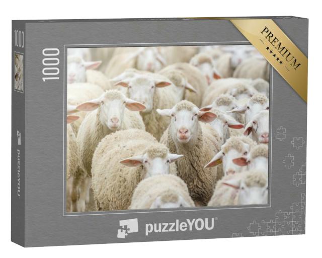Puzzle 1000 Teile „Eine Schafherde “